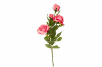 Hoff Искусственное растение Роза  превью